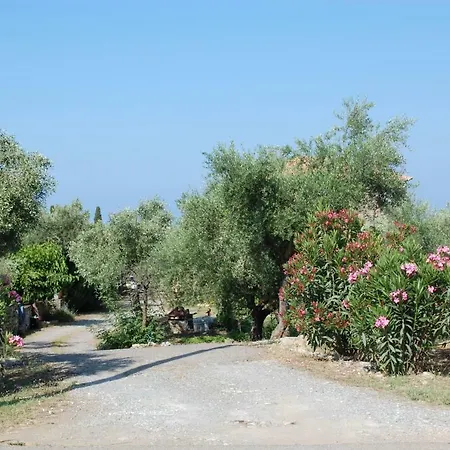 Amoni Holiday Homes Ferienhaus Kardhamili