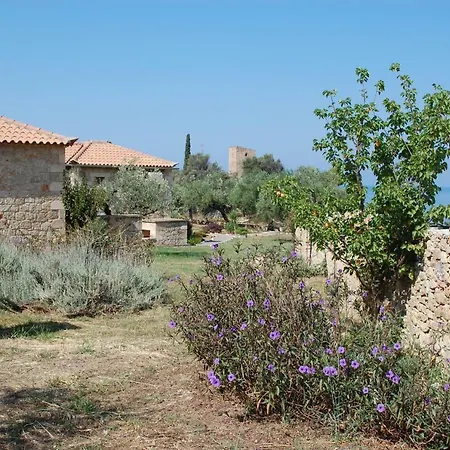 Amoni Holiday Homes Ferienhaus *